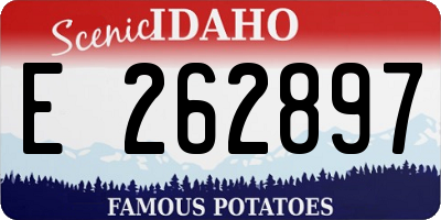 ID license plate E262897