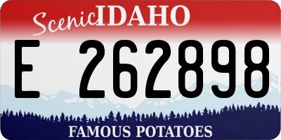 ID license plate E262898