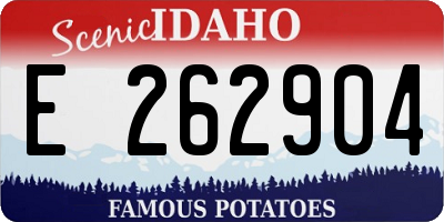ID license plate E262904