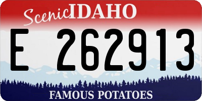 ID license plate E262913