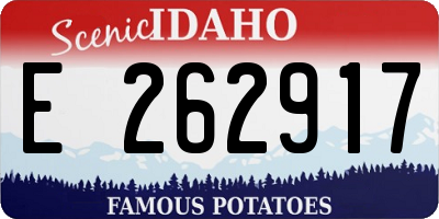 ID license plate E262917