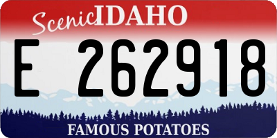 ID license plate E262918