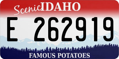 ID license plate E262919