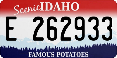 ID license plate E262933