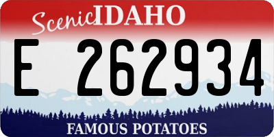 ID license plate E262934