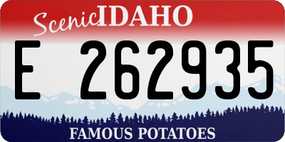 ID license plate E262935