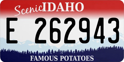 ID license plate E262943