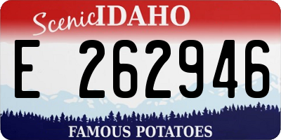 ID license plate E262946