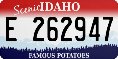 ID license plate E262947