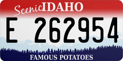 ID license plate E262954