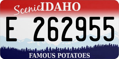ID license plate E262955