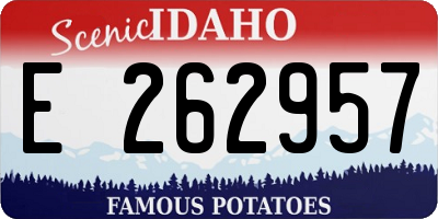 ID license plate E262957