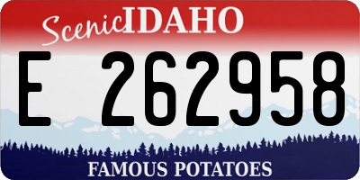 ID license plate E262958