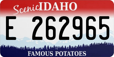 ID license plate E262965