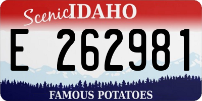 ID license plate E262981