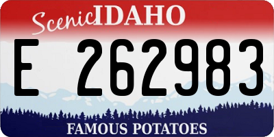 ID license plate E262983