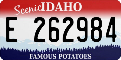 ID license plate E262984
