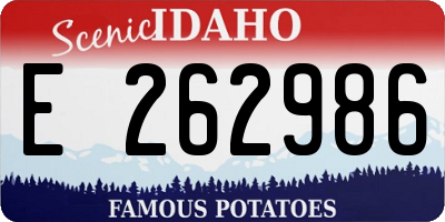 ID license plate E262986