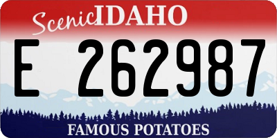 ID license plate E262987