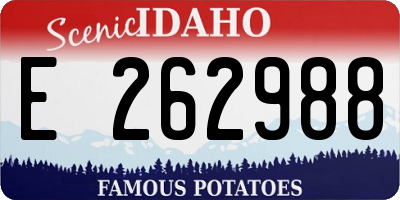 ID license plate E262988