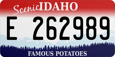 ID license plate E262989