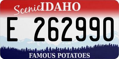 ID license plate E262990