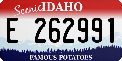 ID license plate E262991