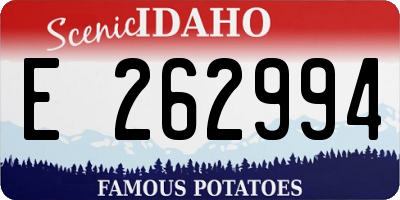 ID license plate E262994