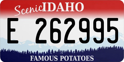 ID license plate E262995