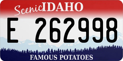 ID license plate E262998