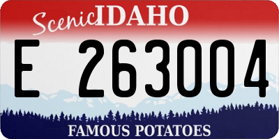 ID license plate E263004