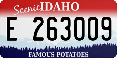 ID license plate E263009