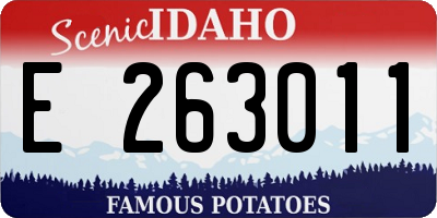 ID license plate E263011