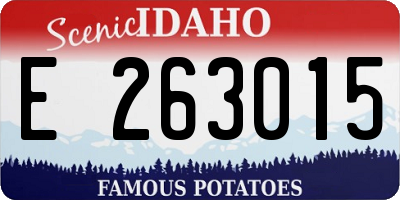 ID license plate E263015