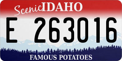 ID license plate E263016