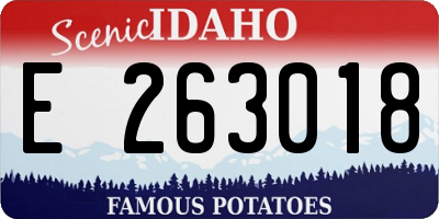 ID license plate E263018