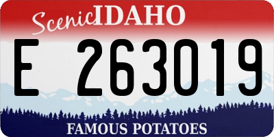 ID license plate E263019