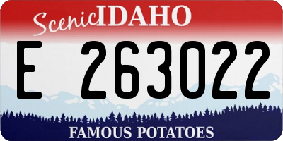 ID license plate E263022