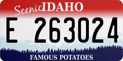 ID license plate E263024