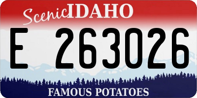 ID license plate E263026