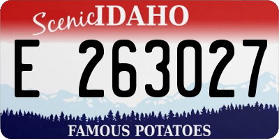ID license plate E263027