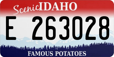 ID license plate E263028