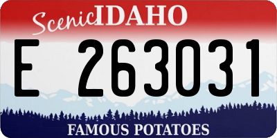 ID license plate E263031