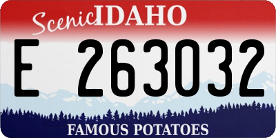 ID license plate E263032