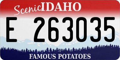 ID license plate E263035