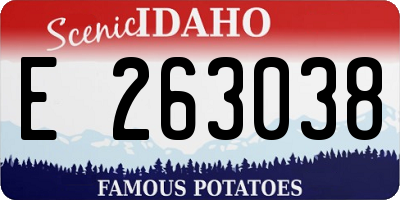 ID license plate E263038