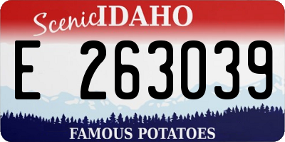 ID license plate E263039