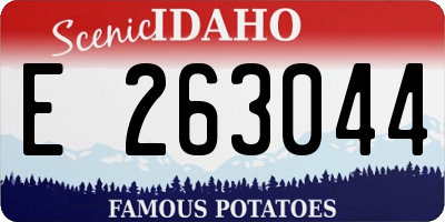 ID license plate E263044