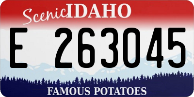 ID license plate E263045