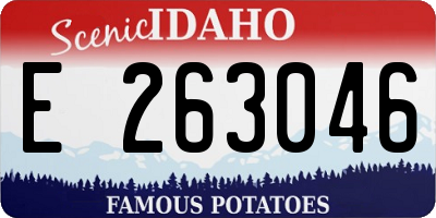 ID license plate E263046